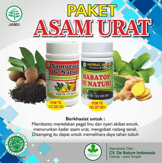 Illustration for article titled Obat Herbal Untuk Penyakit Asam Urat Tinggi
